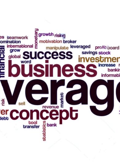 Leverage in Business