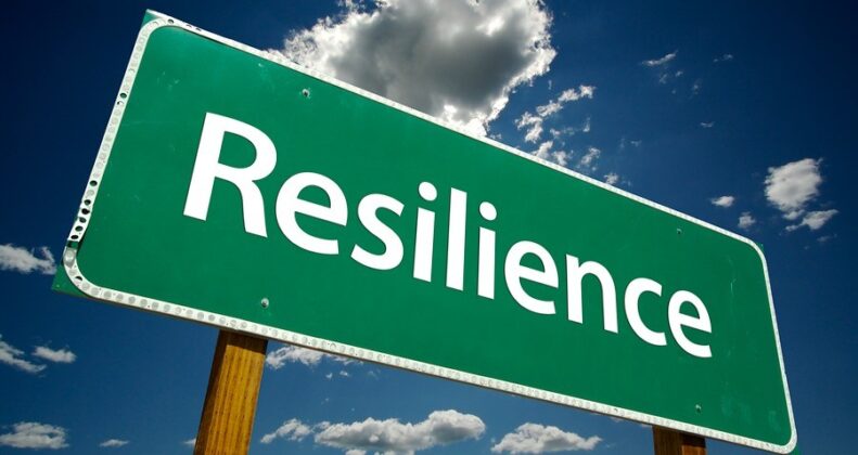 economic resilience