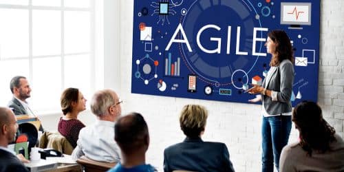 Agile Business, Agility in Business
