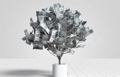 Passion to profit, turn your passion to profit