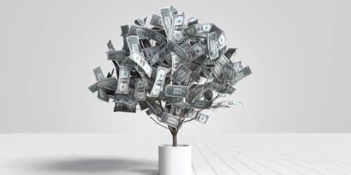 Passion to profit, turn your passion to profit